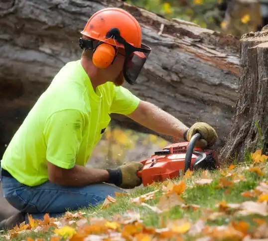 tree services Buena Vista